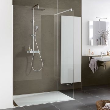 HSK Walk In Pro 1-teilig Klar Glas