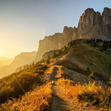 HSK Renodeco Wandverkleidung - Muster Hochglanz, Fotodruck für die individuelle
