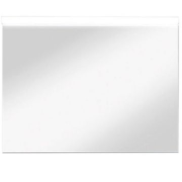 Puris Protection1 Flächenspiegel 120 cm